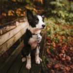pexels-josh-hild-3009441-1