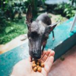 pexels-ricardo-esquivel-1868860