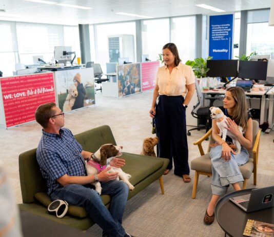 Většina evropských zaměstnanců by změnila práci kvůli pet-friendly kanceláři